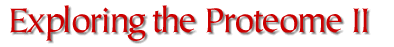 Exploring the Proteome II 